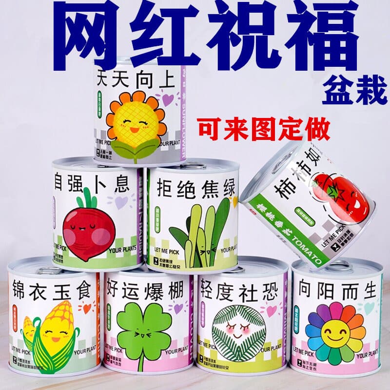 Children's Day Gift: Plantable Blind Box, Desktop Mini Potted Plant, Easy-Care Flower & Green Plant Kit for Elementary School Students