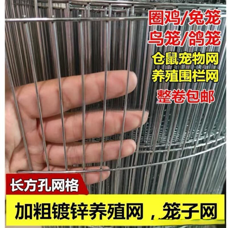 Pet Cage Bottom Wire Mesh, Quail Net, Pigeon Net, Rabbit Cage Galvanized Wire Mesh, Parrot Bird Cage