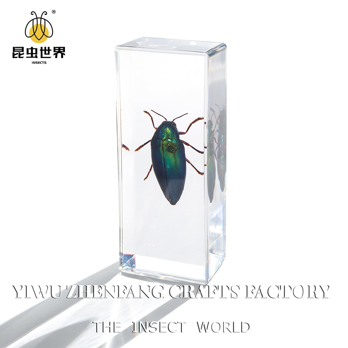 Zhenfang Craft Cross-border Wholesale Real Insect Specimen High-Transparency Resin Amber Large Acrylic Ornament Embedded