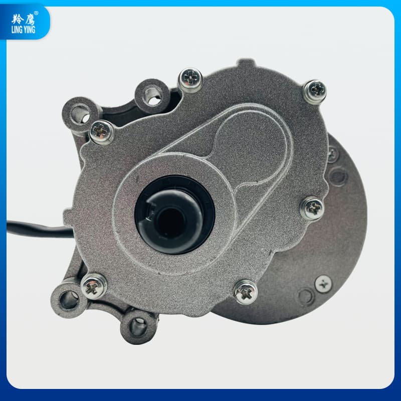 Lingying MY1016Z Permanent Magnet DC Brushed Two-Stage Reduction Electric Vehicle Motor 24V250W Low-Speed Wheelchair Motor