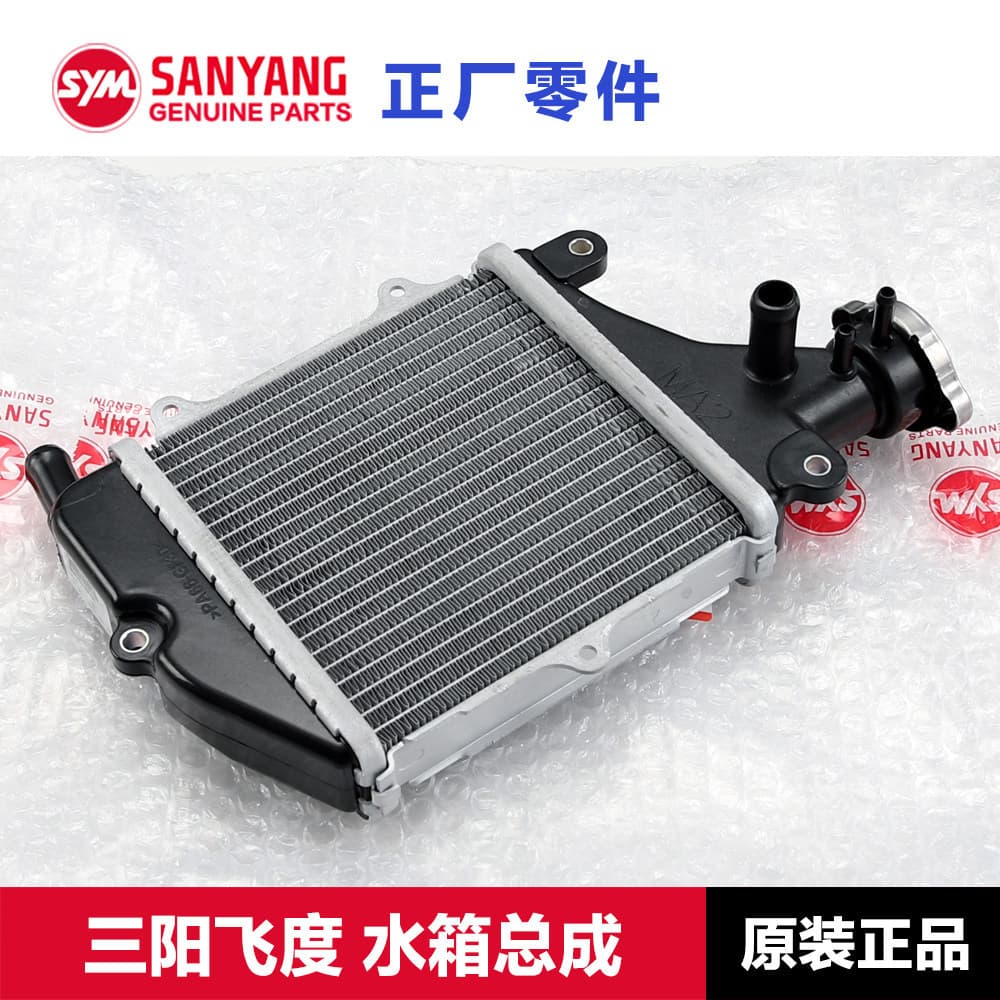 Original SYM Scooter FIDDLE125/150 Fit 3/4/5 Radiator Assembly Parts