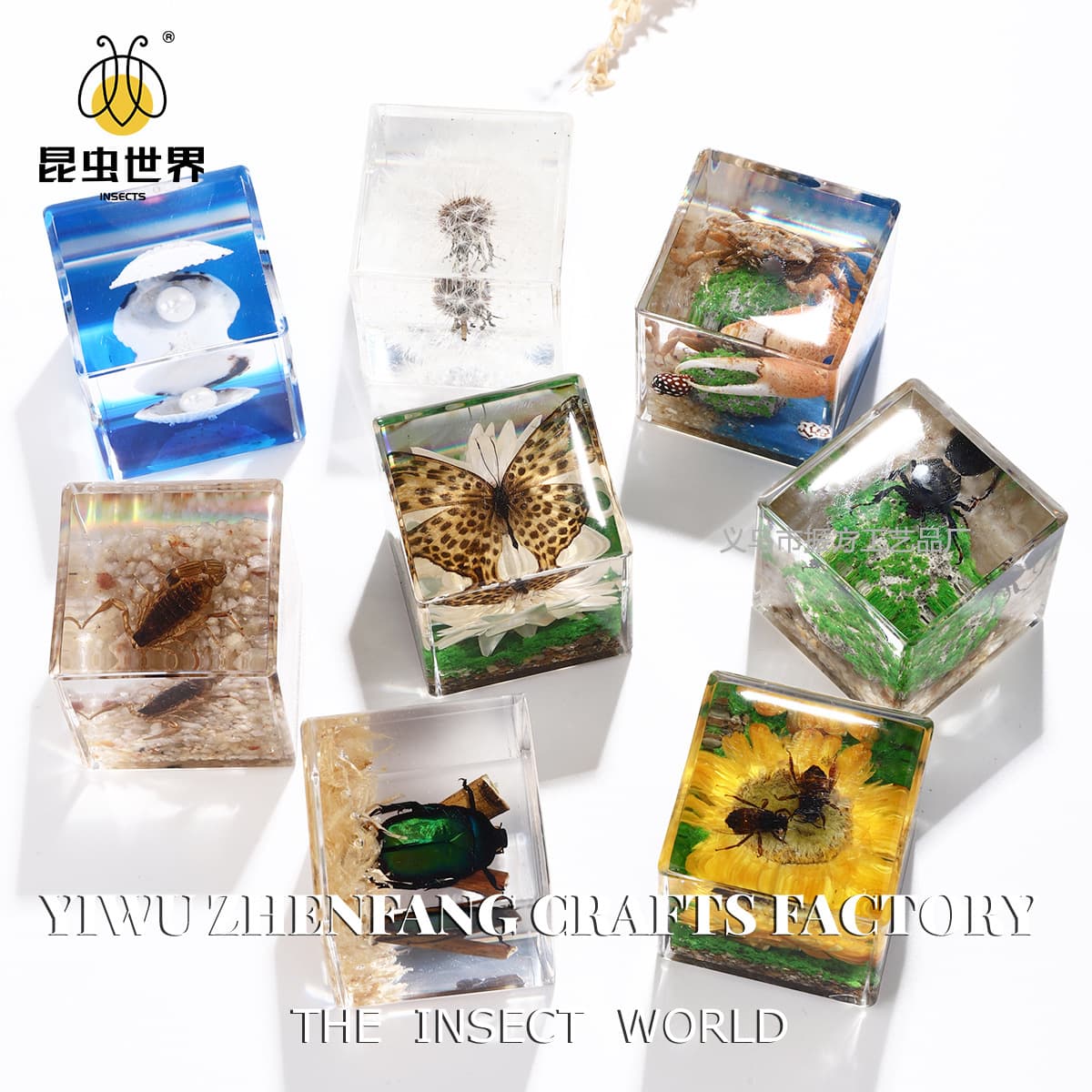 Amazon cross-border trade in real animal specimens, unique insect ornaments for kindergarten observation and micro-landscapes.