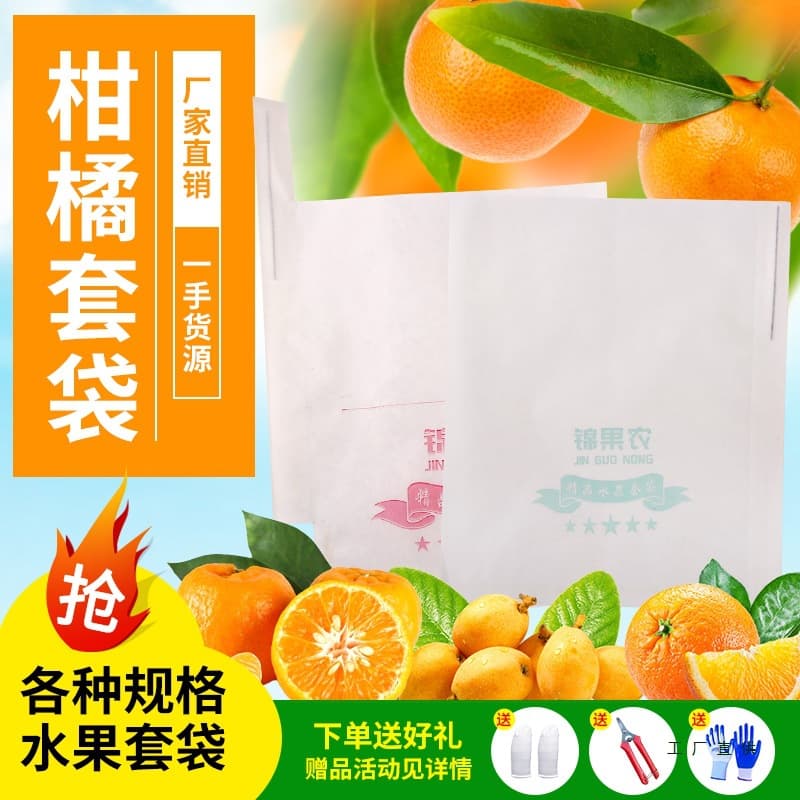 Citrus bags, including ugly tangerines, spring oranges, pomegranates, yellow-skinned lychees, mangoes, and peaches.