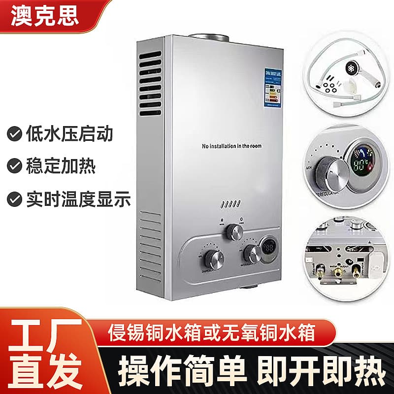 Strictly Selected Cross-Border Flue-Type Gas Water Heater Wholesale Commercial Household Natural Gas Water Heater
