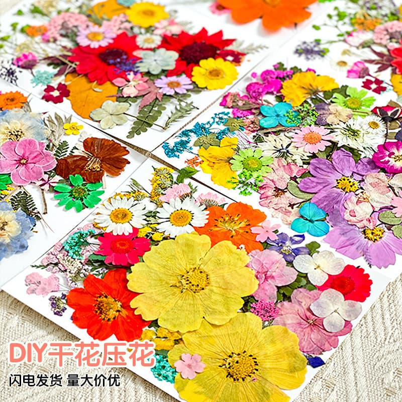Graduation Season Dried Flower Pressing Kit, DIY Handmade Craft, Plant Specimen, Resin Casting, Pressed Flower, Real Flower Bookmark