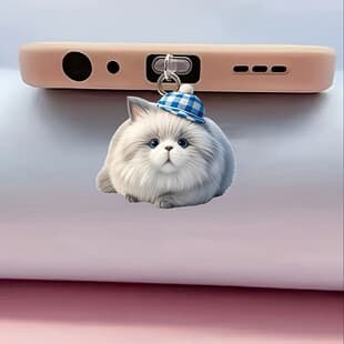 2D Flat, 1 Piece New Acrylic Cat Wearing Birthday Hat for iPhone/Type-C Android Connector