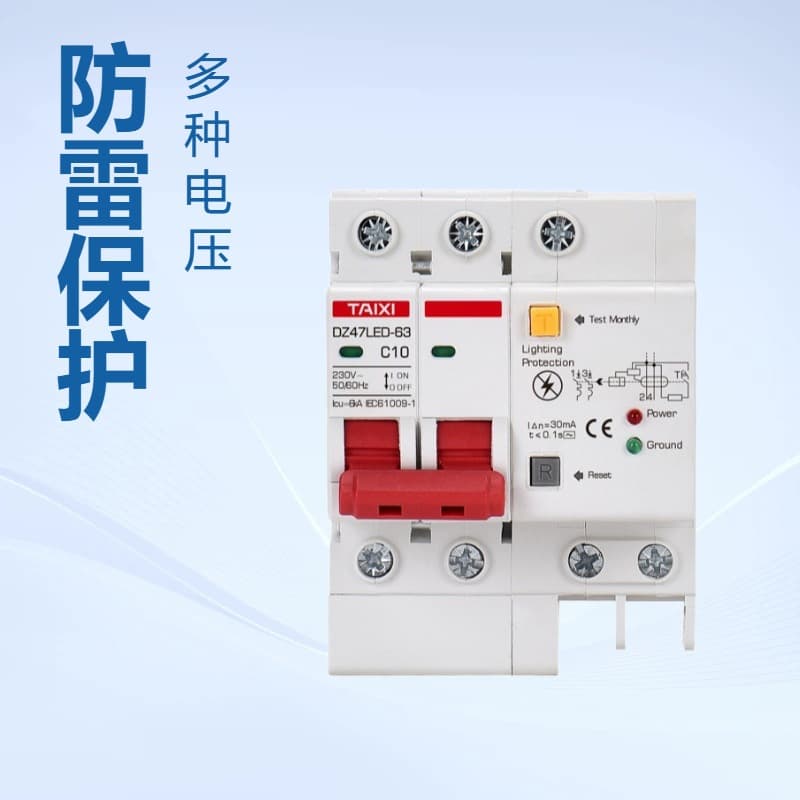 Taixi 110V lightning protection and leakage protector DZ47LED double light anti-electric shock grounding air switch