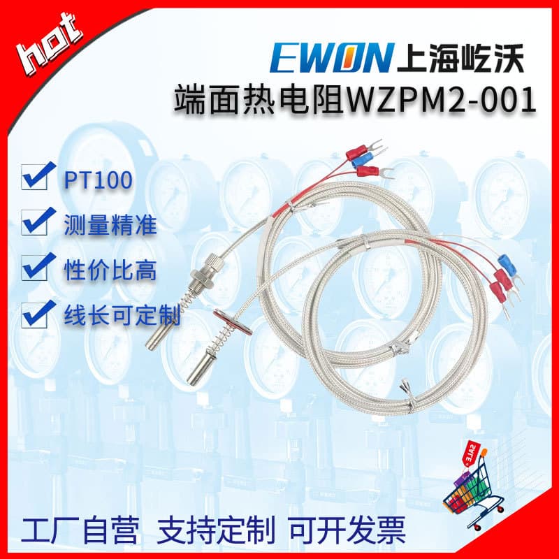 Custom End-Face Thermistor WZPM001/201 for Motor Bearing Surface Probe, PT100 Waterproof, Oil-Resistant, High Temperature