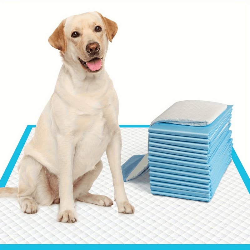 2026 New Cross-border Drop Shipping 17.7x13 100-Piece 6-Layer Protective Structure Disposable