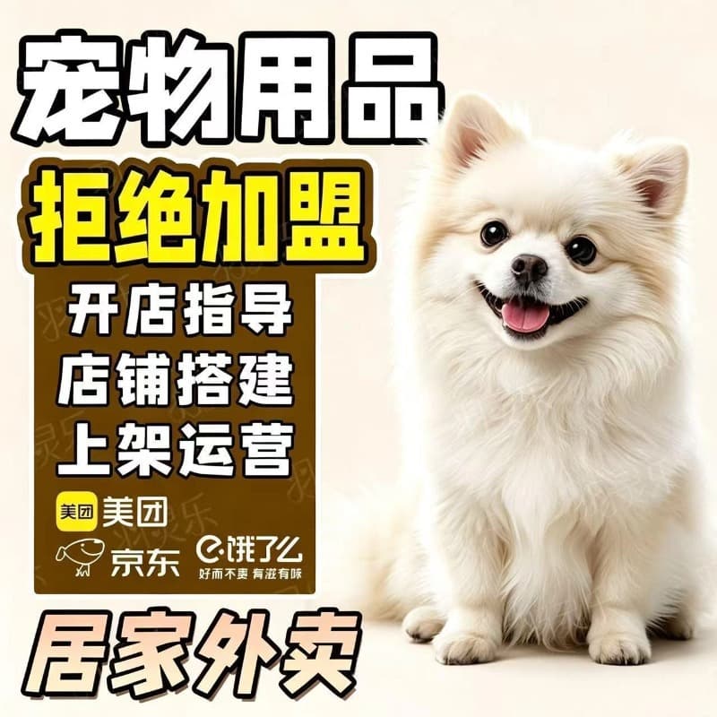 Pet Supplies Online Store Unmanned Warehouse Factory Direct Supply Snacks Cat Sticks Cat Food Wholesale Single Piece Ready to Ship