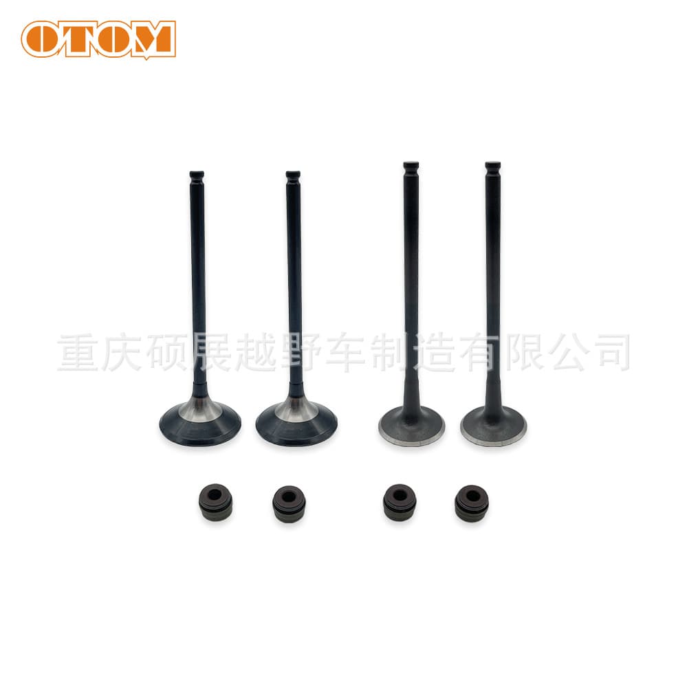 OTOM Zongshen engine parts ZS178MM-2 NX250 intake and exhaust valve valve oil seal