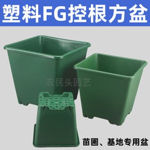FG Tall Square Pot Plastic Square Gallon Pot Qingshan Pot for Planting Flowers Vegetables Base Nursery Breathable Root Control Flower Pot