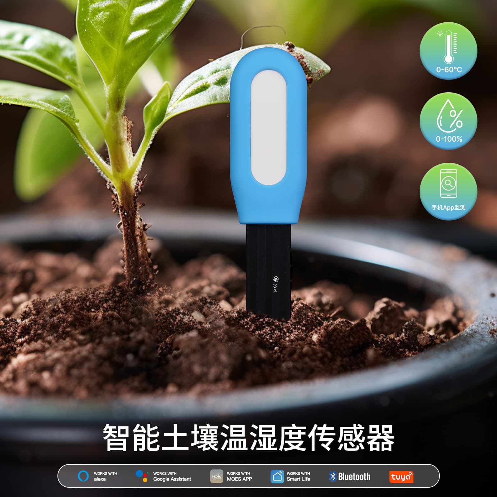 Smart Home Bluetooth Thermometer Hygrometer Garden Remote Check Soil Sensor Humidity Temperature Detector Indoor Outdoor Use