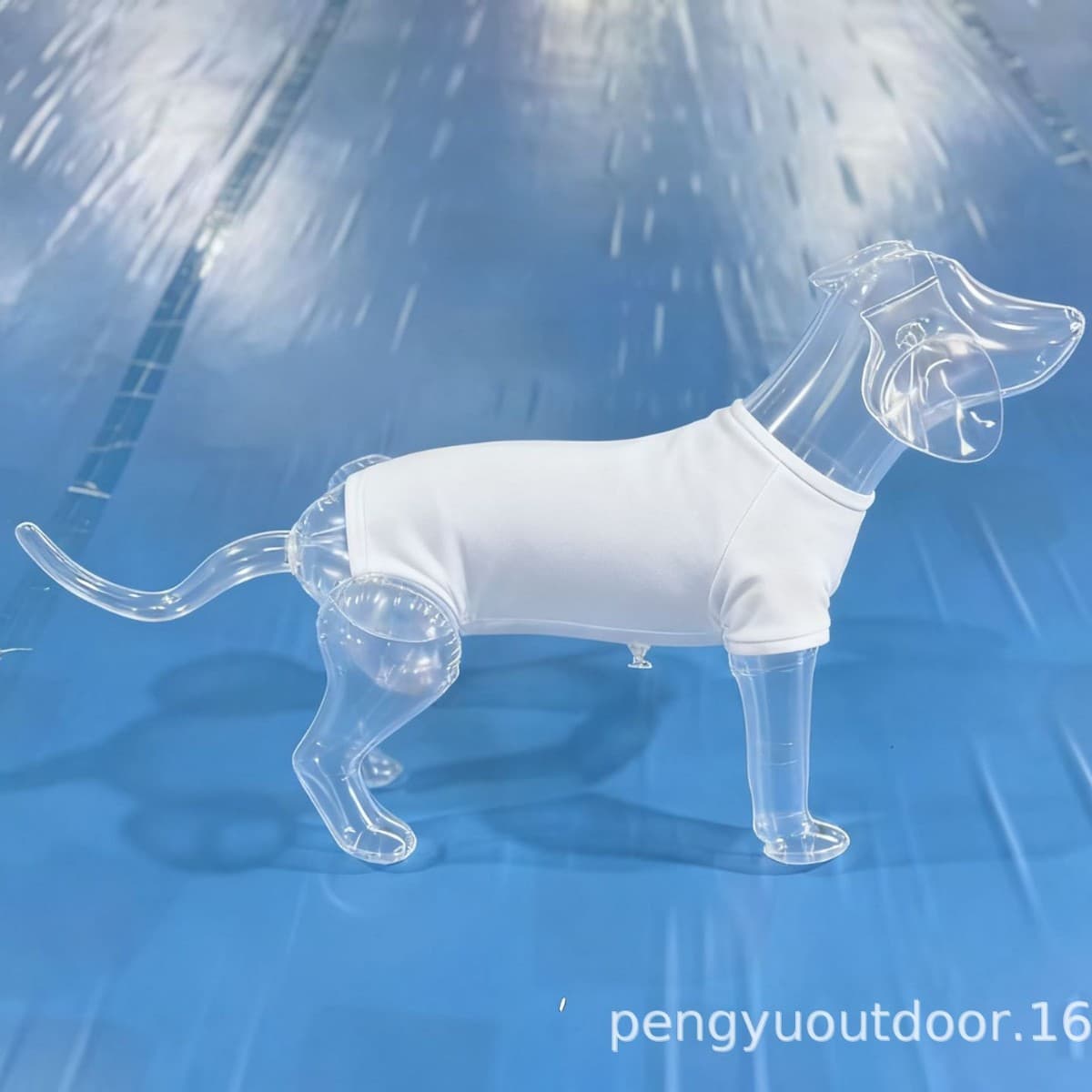 Transparent Inflatable Dog Mannequin Pet Clothing Display Prop Dog Apparel Photography Mannequin 1688 Wholesale