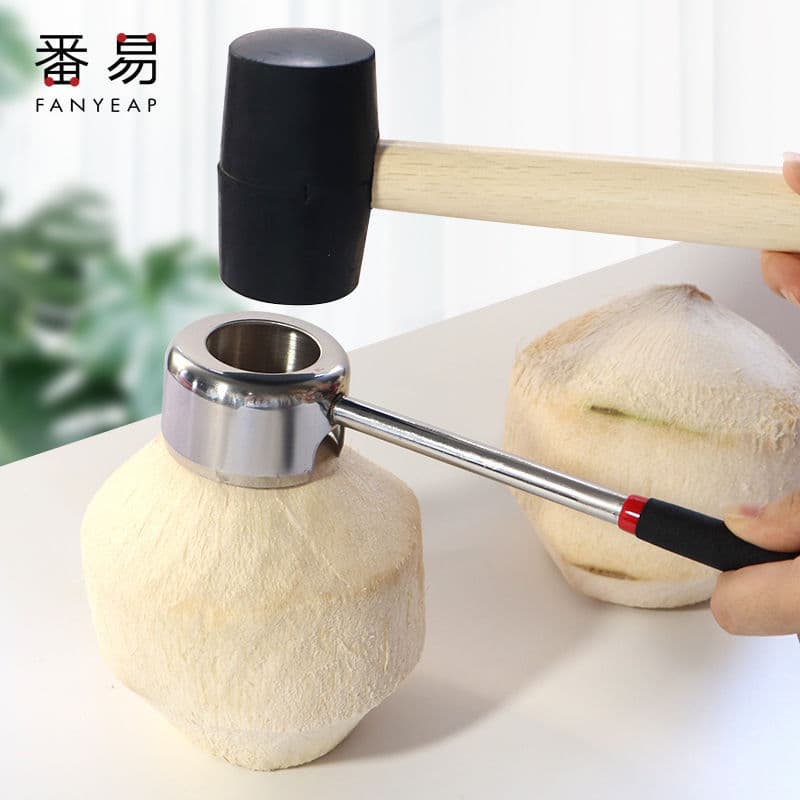 Free Shipping / Shell Opener A1V - Tool for Opening Old Coconuts, Coconut Knife and Lid Opener