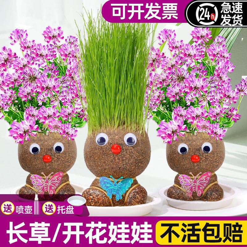 Grass Head Doll with Growing Grass, Flowering Hair, Small Potted Plant for Kindergarten, Children's Plant Growth Observation