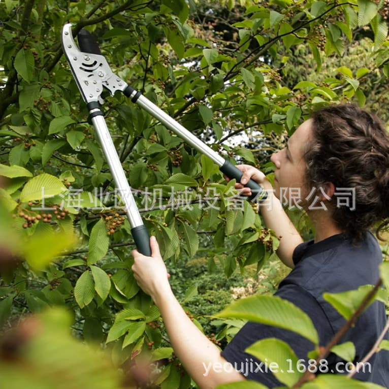 British SPEAR & JACKSON high-altitude telescopic gardening thick branch shears garden branch ratchet powerful shears