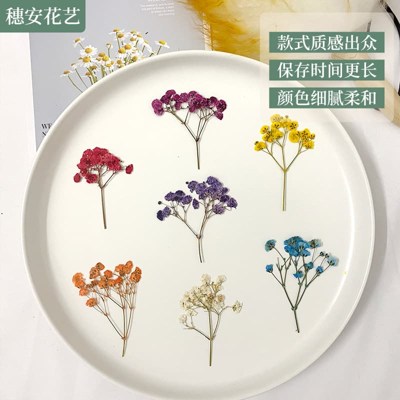 Dried Flower Pressed Flower DIY Craft Materials Dyed Baby's Breath Flower Filler for Frames, Petals, Resin Phone Cases, and Resin Flower Art