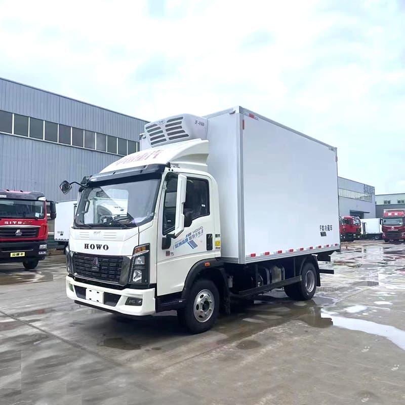 Export SINOTRUK Howo small refrigerated truck 4m2 van refrigerated truck fresh meat fruit and vegetable cold chain truck slaughterhouse