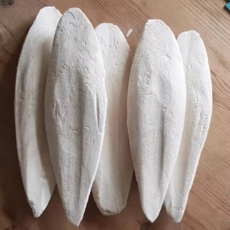 Cuttlefish bone manufacturer ready stock cuttlefish bone skewers new goods cuttlefish bone black phoenix tiger skin peony parrot bird food wholesale
