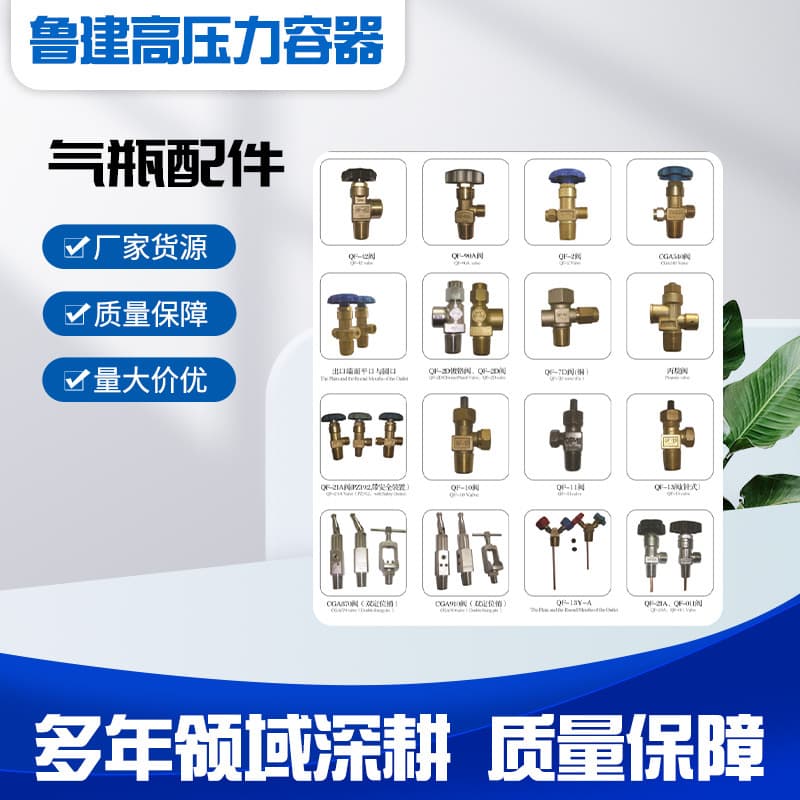 Lujiangao Original Factory Gas Cylinder Accessories Wholesale Quality Assured Wide Variety Large Quantity Best Price Gas Cylinder Accessories