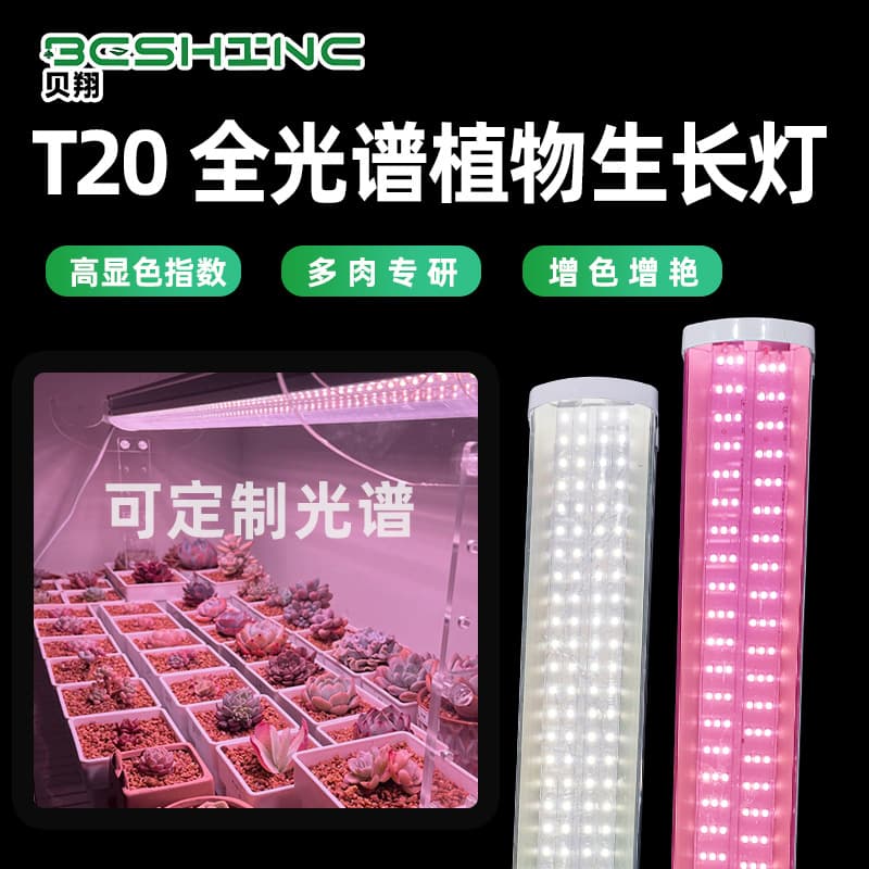 High-Power T20 Full Spectrum LED Plant Growth Light for Succulent Coloring, Anti-Stretching, and Sunlight Simulation