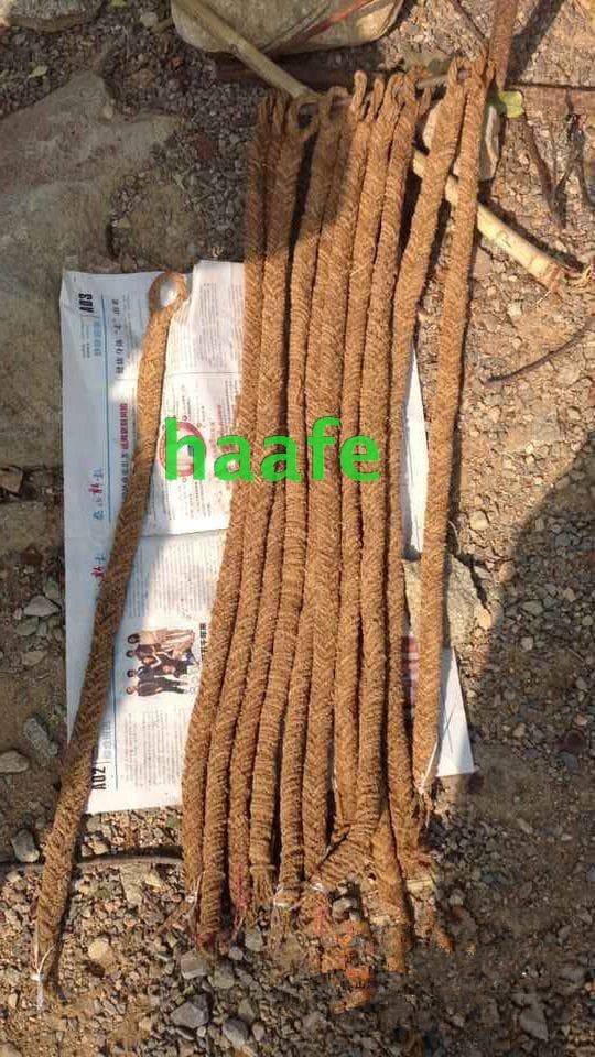 Wholesale 5 pieces: Chestnut Flower Rope, mosquito repellent rope, fly and mosquito fumigation rope, fire rope, herbal mosquito coil rope.