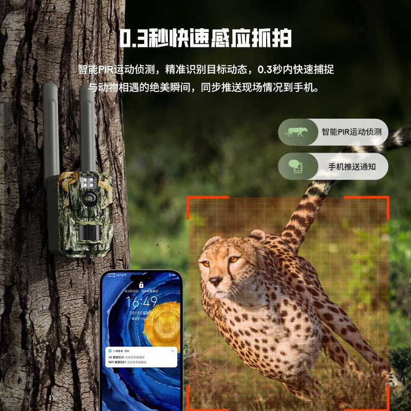 Customizable 4G Solar Security Camera, HD Hunting Camera, Farm Orchard Fishery Surveillance Monitor