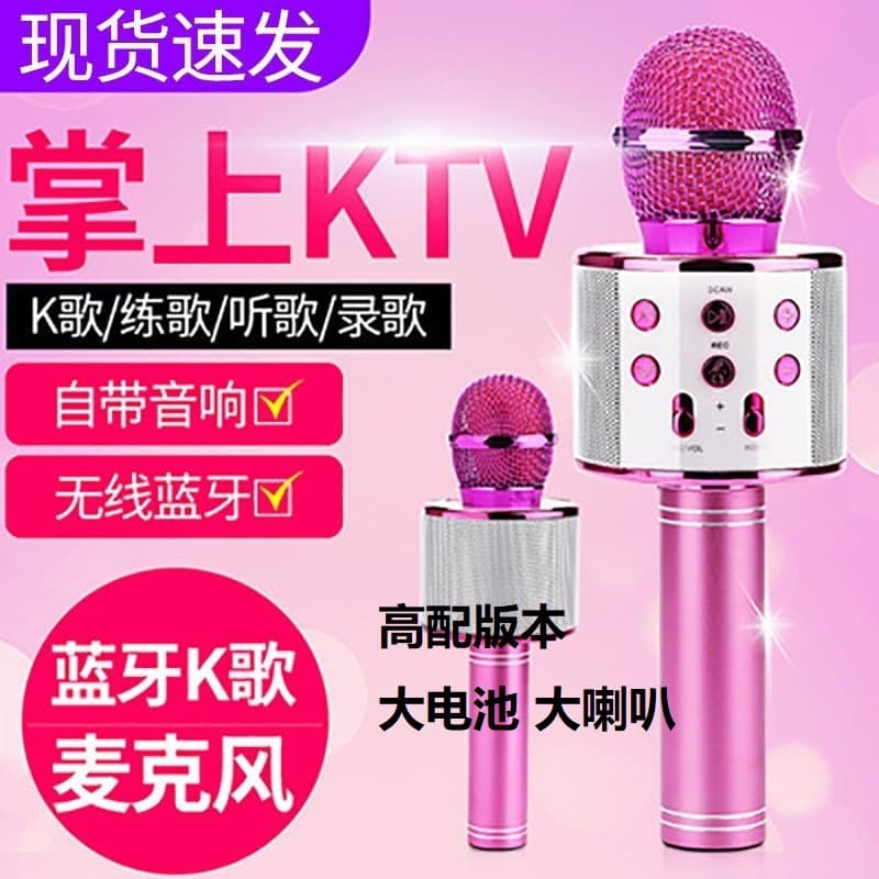 WS858 Microphone Speaker Wireless Mic for Home Karaoke, Bluetooth Family and Children All-in-One Speaker