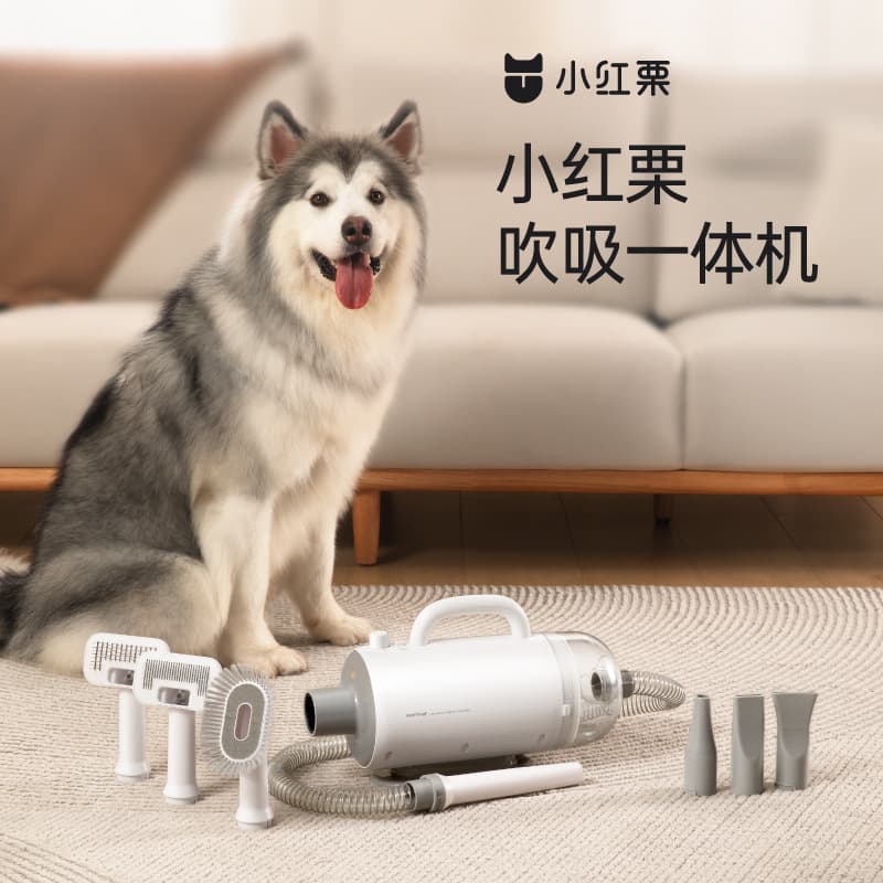 Cross-border pet hair dryer, 2-in-1 blow dryer and vacuum cleaner, specially designed for cats and dogs, quiet and gentle.