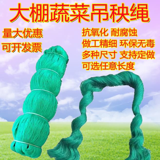 Greenhouse Hanging Vine Rope Vegetable Climbing Net Trellis String for Growing Melons and Fruits Cucumber Vine Support String Factory Direct Supply