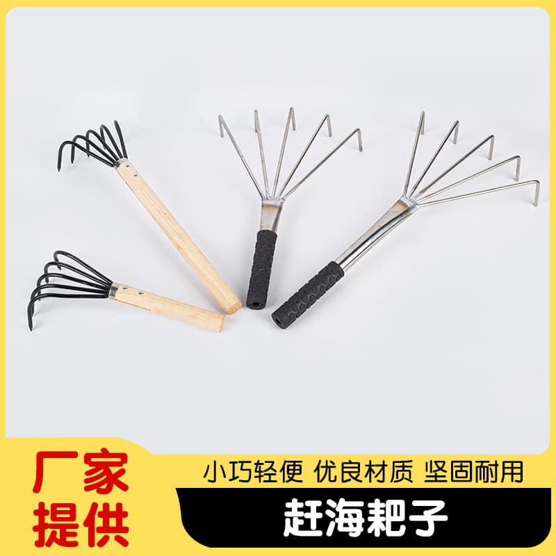 Stainless Steel Beach Rake for Digging Clams, Shellfish, and Razor Clams, Small Rake for Gardening and Soil Loosening