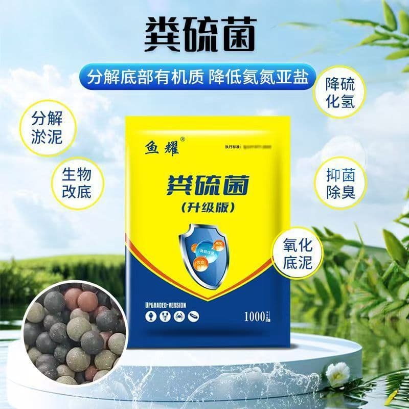 Fecal Sulfur Bacteria Granules for Aquaculture, Sulfur Bacteria Bottom Conditioner for Water Deterioration, Blackening, Odor Removal, and Water Purification