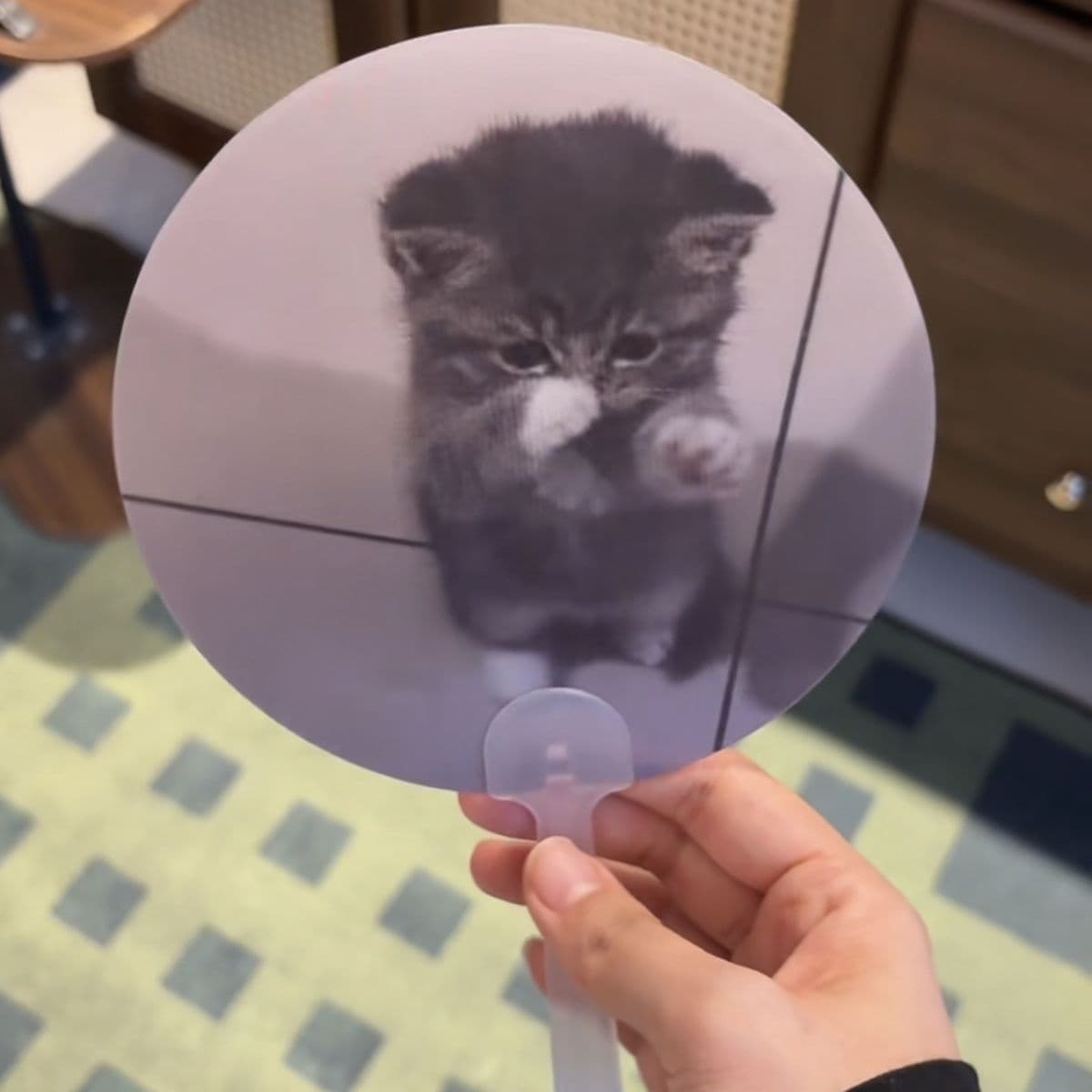 New Creative Monthly Cat Animation Fan with Cute Hachimi Hologram Design, Portable Summer Novelty Fan, Same Style as on Xiaohongshu