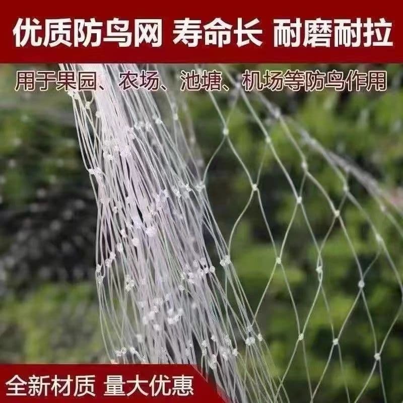 Brand New Nylon Anti-Bird Net for Cherry, Grape, Strawberry, Pear Trees, Greenhouse Orchards, Fish Ponds, Loaches, and Rice Cultivation Protection Net