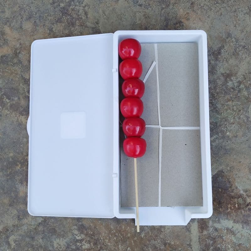 Exquisite Candied Hawthorn Paper Box, Rice Paper Wrapper for Candies, Creative and Novel Packaging, Festival Gift
