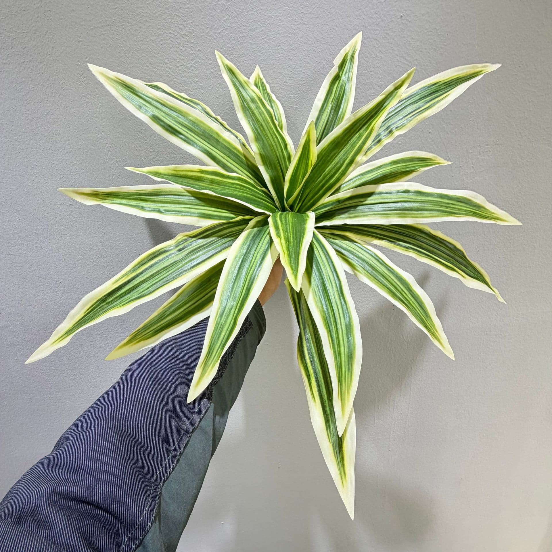 Simulated green plant 20 leaves Brazilian beauty iron landscaping green plant bonsai iron leaf home plant agave leaf decoration