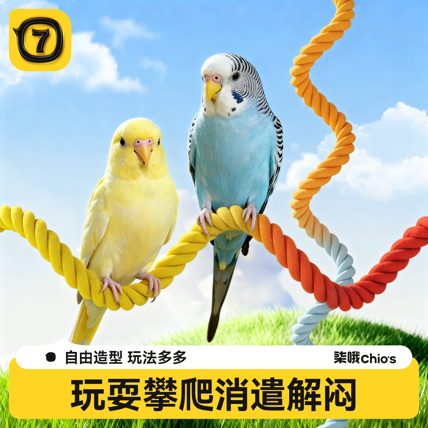 Parrot Spinning Climbing Pole, Cockatiel, Peach-Faced Lovebird, Budgie Swing Climbing Toy, Cotton Rope Perch, Parrot Pet Supplies