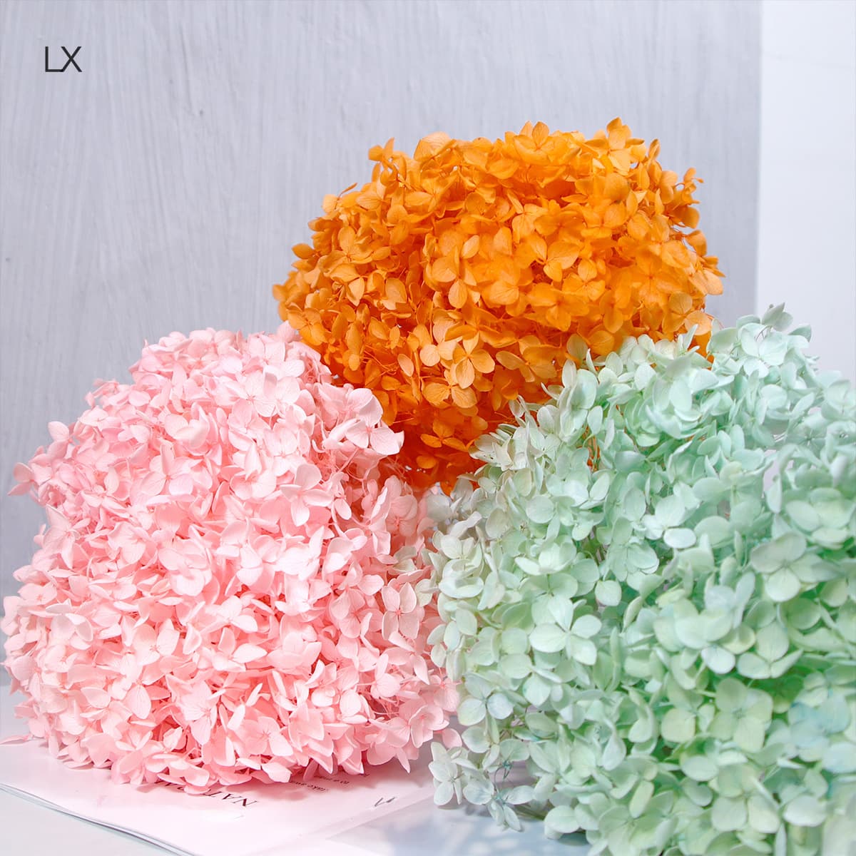 Hydrangea Preserved Flower Wholesale - Yunnan Preserved and Dried Small-Leaf Anna Hydrangeas, Manufacturer Direct for Bouquets and Gift Boxes