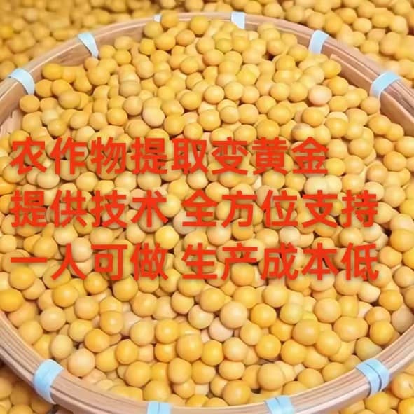 Corn Extract Plant Protein Peptides from Grains → A Shortcut to Wealth, Low Cost, Inquire Now