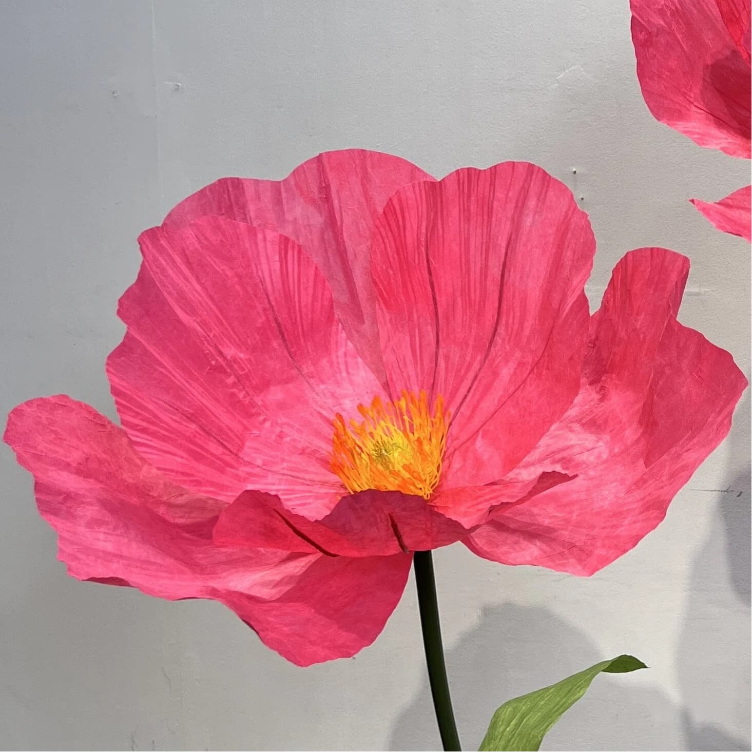 Poppy paper flower single flower head giant paper art simulation flower interior decoration arrangement floral wedding landscaping ornaments