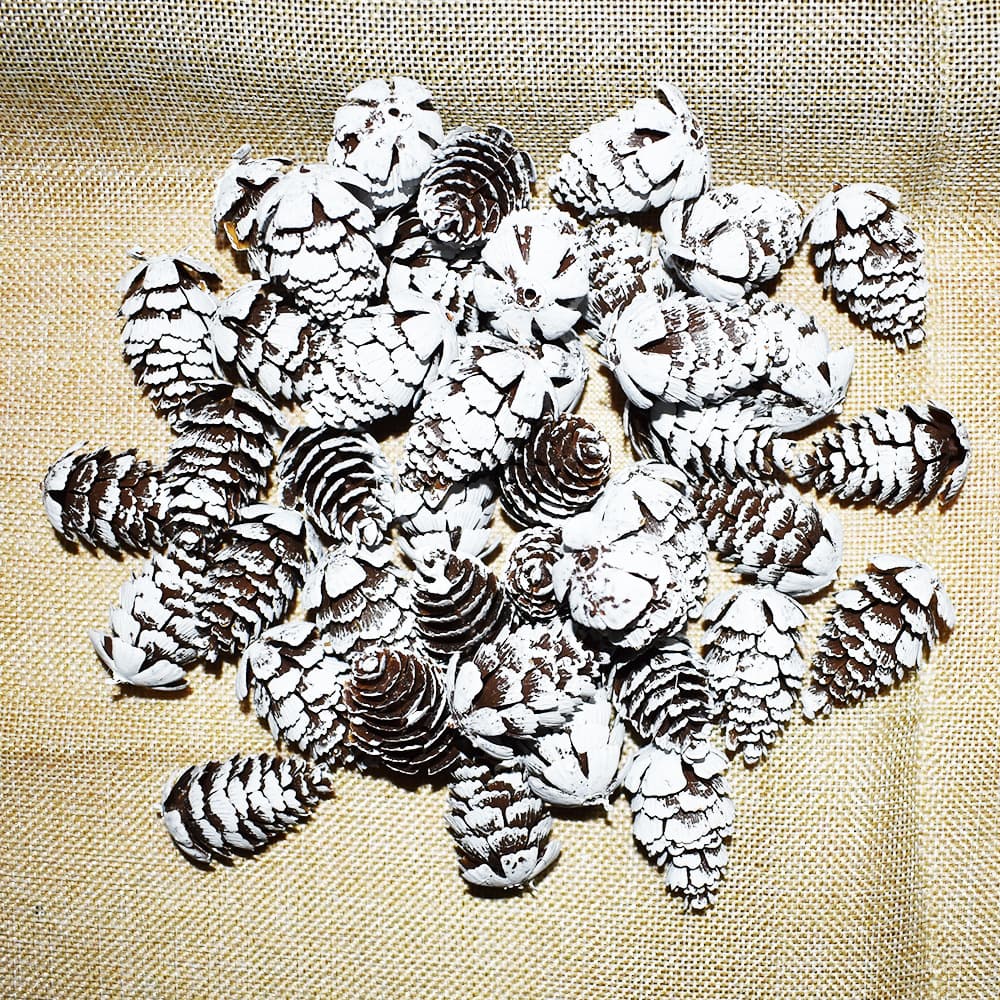 Bleached Plastic Artificial Pinecones Christmas DIY Materials White-dipped Pine Cones Tree Decor Hanging Ornaments