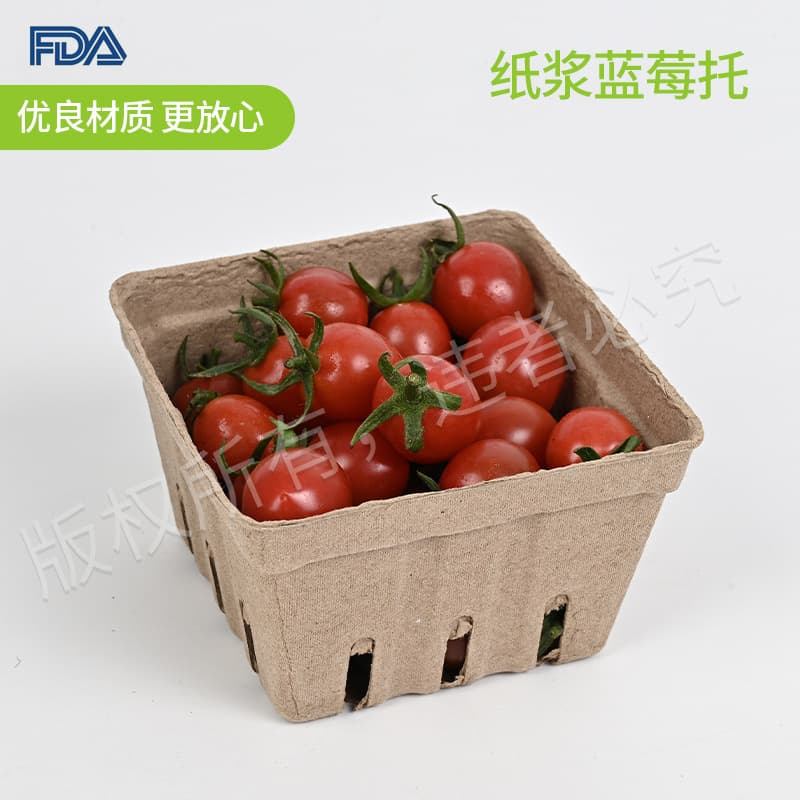 Large Pulp Blueberry Tray - Disposable Large Capacity Molded Pulp Blueberry Box - Source Factory