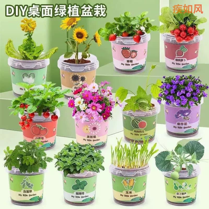 DIY Desktop Green Plant for Kids, Student Indoor Planting Little Bean Pot Plant, Wholesale Flower Toys