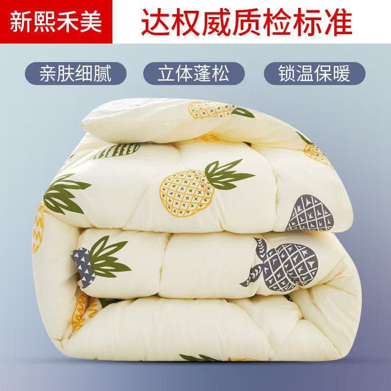 Winter Quilt Cotton Blanket Core Warm Thickened Single Student Dormitory All-Season Spring Autumn Quilt Air Conditioning Summer Cool Blanket