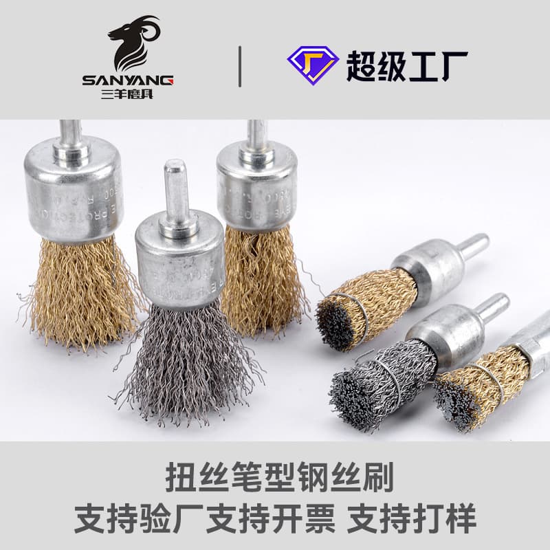 Sanyang Abrasive Steel Wire Brush Polishing Brush with Handle, Rotary Tool Brush, Copper Wire Brush, Stainless Steel Wire Brush