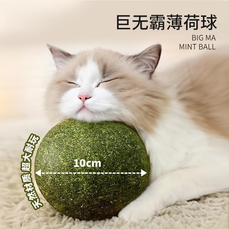 Cat Toy, Extra-Large Catnip Ball, Self-Entertainment Fun Toy, Cat Wand Toy, Pet Toy