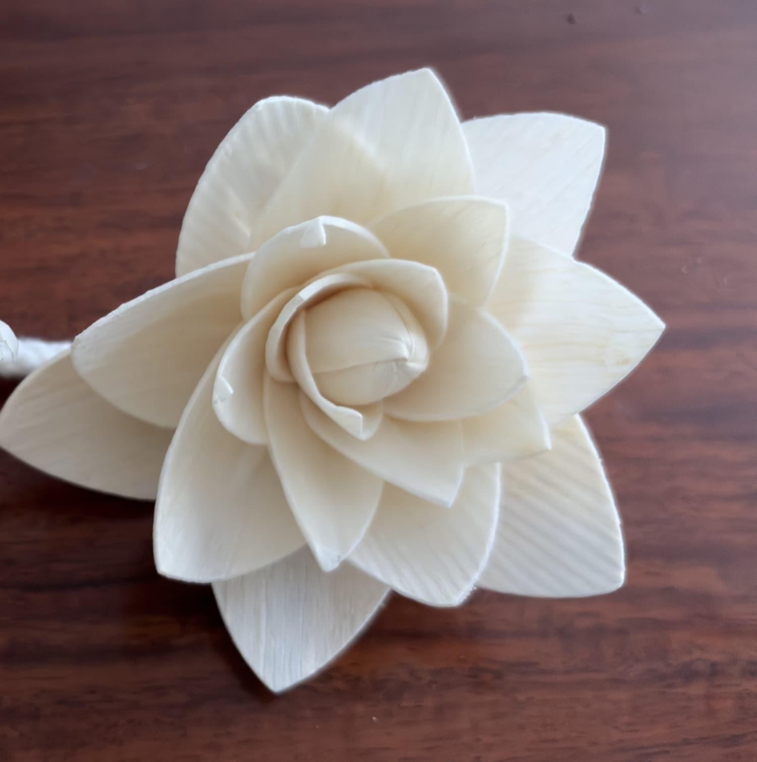 sola fireless aromatherapy handmade Tongcaohua 6CM camellia tooth willow natural color changing oil-absorbing aromatherapy flower aromatherapy accessories