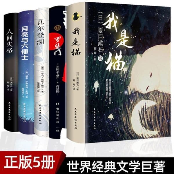Hardcover version of world famous literary novels, extracurricular reading books, world's top ten famous books for teenagers and adults