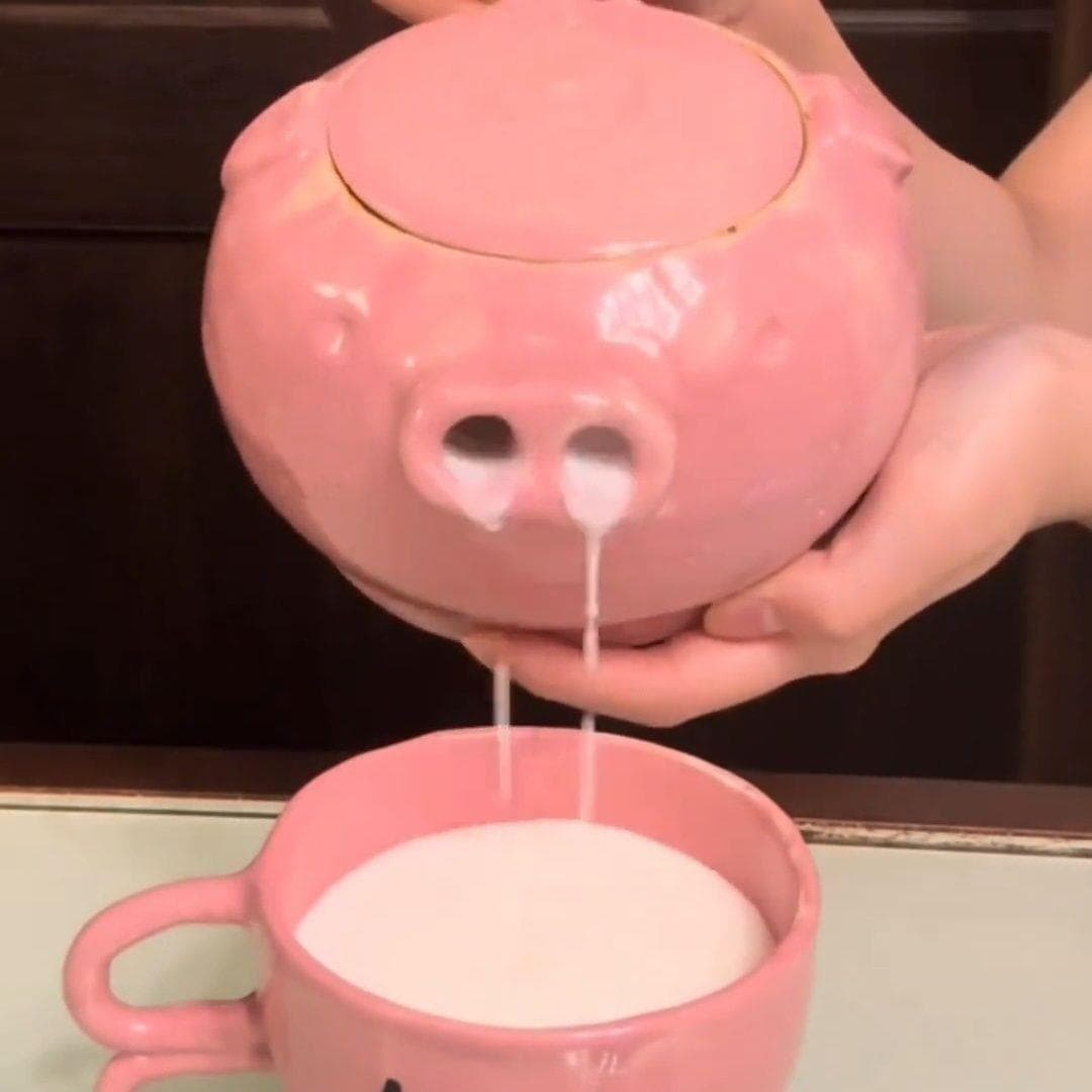 Piggy Ceramic Teapot Funny Pig Nose Water Flow Teapot Interesting Cup Pig Head Tea Set Gift for Bestie Prank Gift